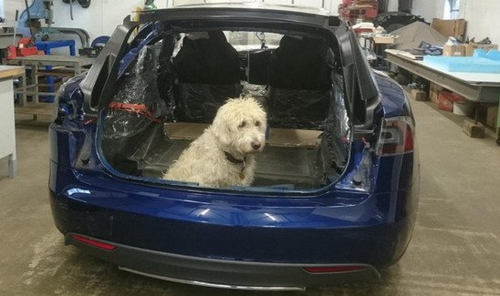 tesla w 111.jpg, 53 KB