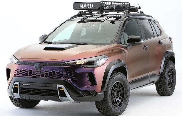 toyota nasu 1.jpg, 66 KB