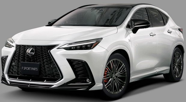 trd nx 1.jpg, 63 KB