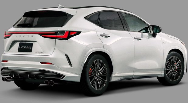 trd nx 11.jpg, 57 KB