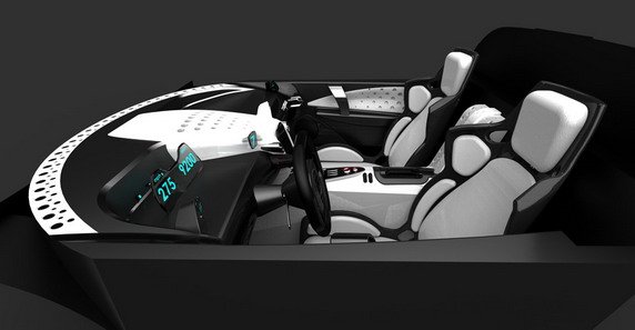 tuatara 111.jpg, 35 KB