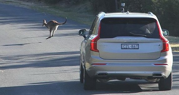 volvo kengur.jpg, 50 KB