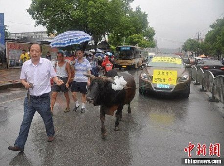 volvo xc60 11.jpg, 63 KB