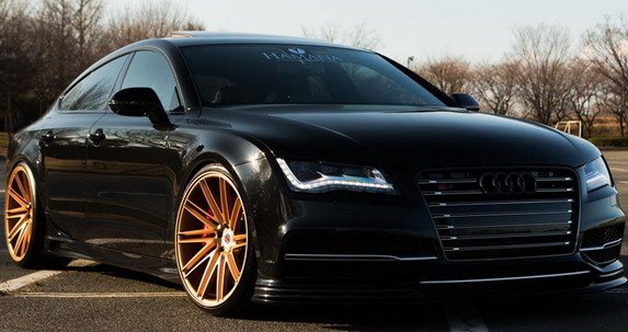 vossen 13.jpg, 55 KB