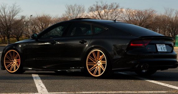 vossen 133.jpg, 55 KB