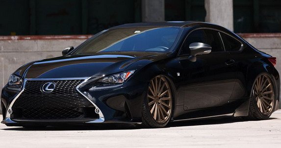 vossen 34.jpg, 52 KB