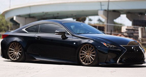 vossen 344.jpg, 56 KB