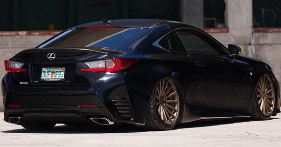 vossen 3444.jpg, 50 KB