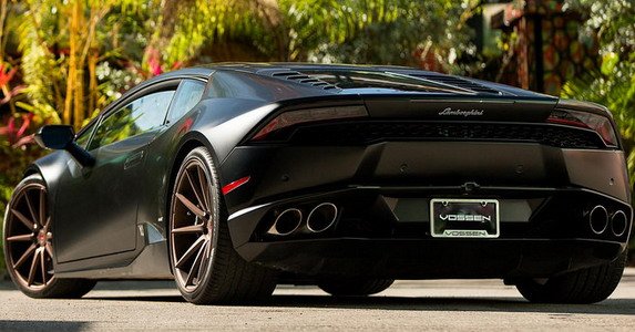 vossen 44.jpg, 65 KB