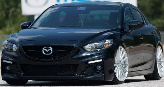 vossen 66.jpg, 48 KB