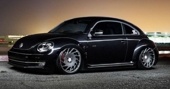 vossen 76.jpg, 46 KB