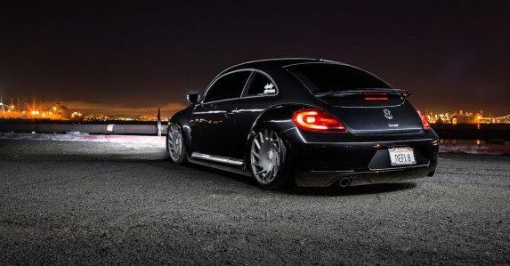 vossen 766.jpg, 53 KB