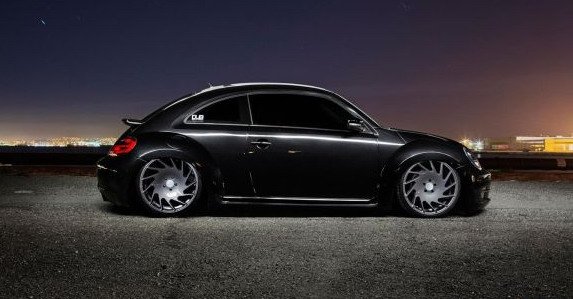 vossen 76666.jpg, 44 KB