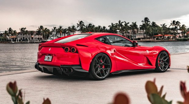 vossen 77.jpg, 69 KB