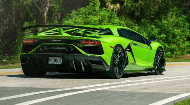 vossen a 11.jpg, 76 KB