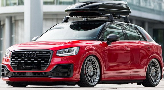 vossen q2.jpg, 69 KB