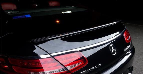 wald 5555.jpg, 30 KB