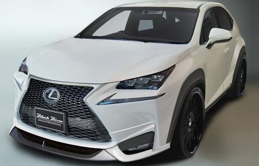 wald black bison.jpg, 44 KB