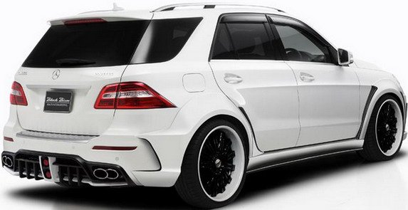 wald m 11.jpg, 39 KB