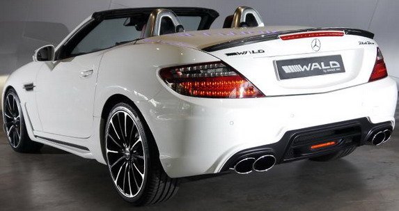 wald slk 111.jpg, 46 KB