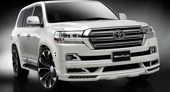 wald tlc 1.jpg, 46 KB