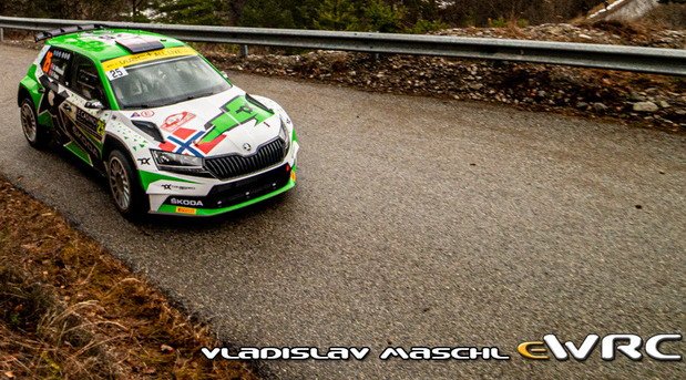 wrc fabia.jpg, 107 KB