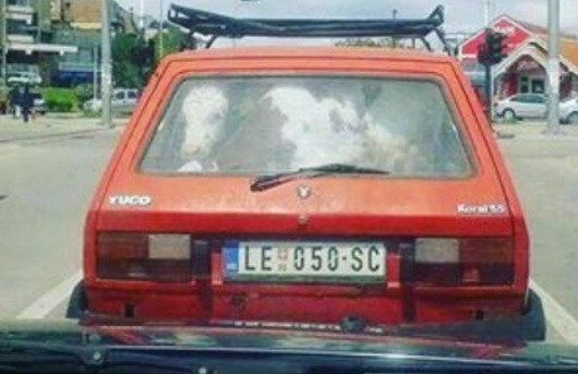 yugo tele.jpg, 48 KB