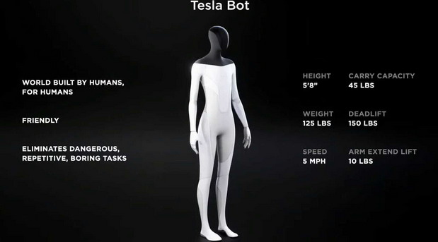 Tesla Bot Tesla Bot