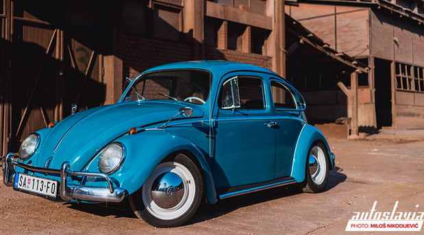 VW Buba VW Buba