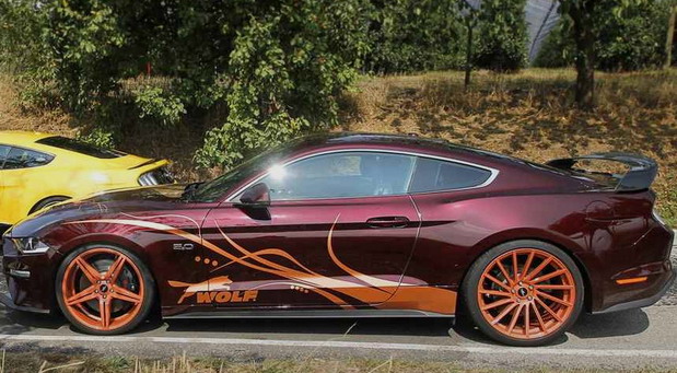 Wolf Racing Ford Mustang 