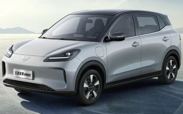 Wuling BinGuo Plus Wuling BinGuo Plus