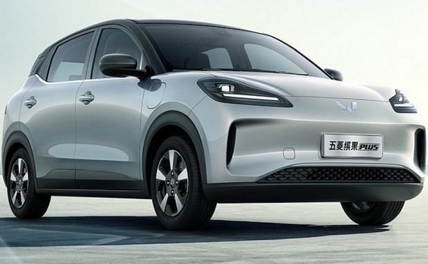 Wuling BinGuo Plus Wuling BinGuo Plus